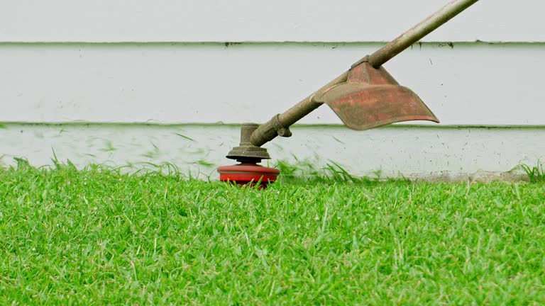 Best Lawn Watering Services  in Veedersburg, IN